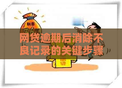 网贷逾期后消除不良记录的关键步骤与时间：重要提示