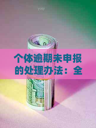 个体逾期未申报的处理办法：全面解决用户可能遇到的问题