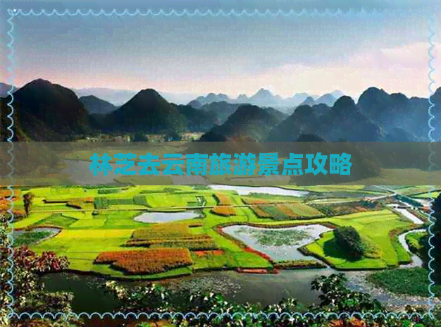 林芝去云南旅游景点攻略