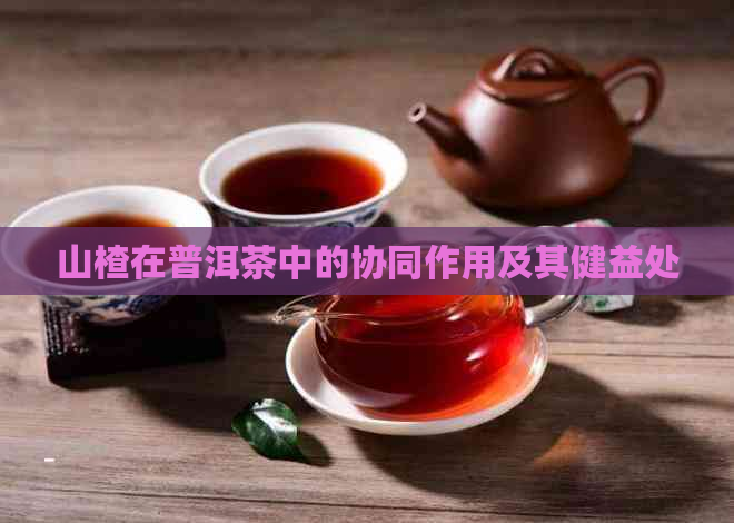 山楂在普洱茶中的协同作用及其健益处