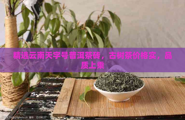 精选云南天字号普洱茶砖，古树茶价格实，品质上乘