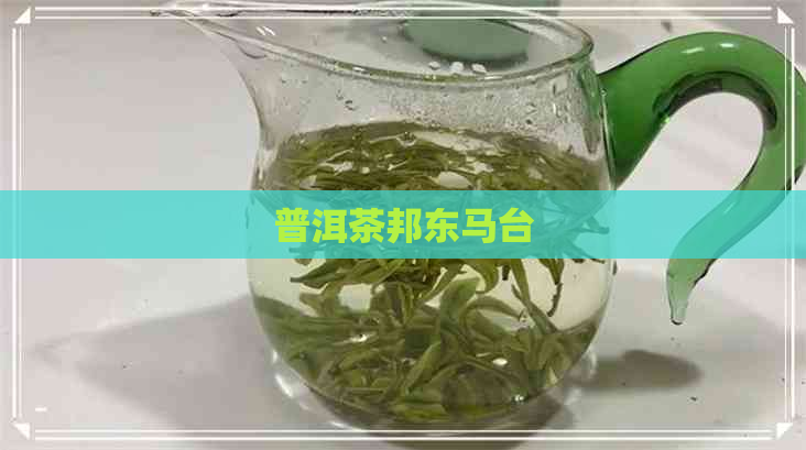 普洱茶邦东马台