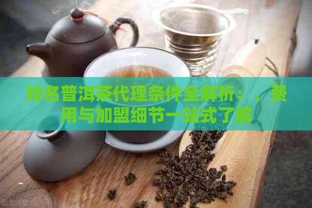 知名普洱茶代理条件全解析：、费用与加盟细节一站式了解