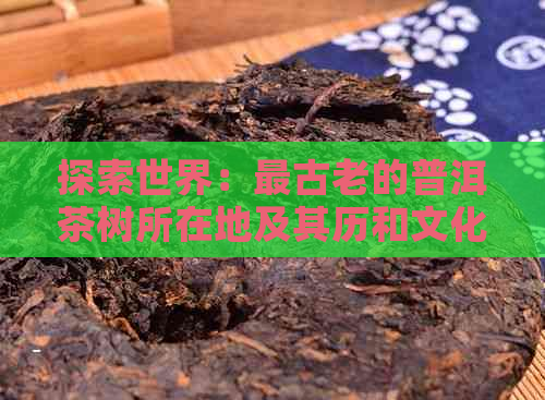 探索世界：最古老的普洱茶树所在地及其历和文化价值