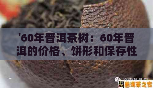 '60年普洱茶树：60年普洱的价格、饼形和保存性解答，你还可以喝吗？'