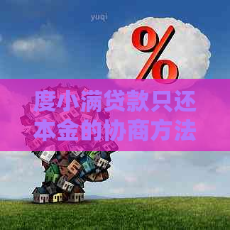 度小满贷款只还本金的协商方法与条件全解析