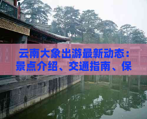 云南大象出游最新动态：景点介绍、交通指南、保护措施等一应俱全