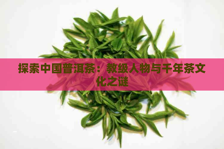 探索中国普洱茶：教级人物与千年茶文化之谜