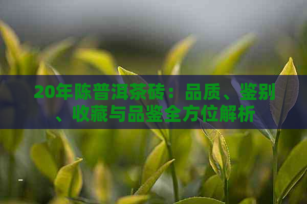 20年陈普洱茶砖：品质、鉴别、收藏与品鉴全方位解析