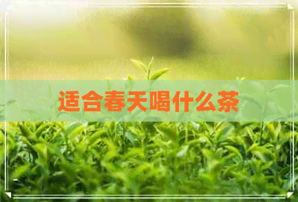 适合春天喝什么茶