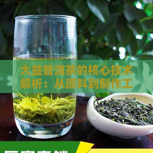 大益普洱茶的核心技术解析：从原料到制作工艺的全面探讨