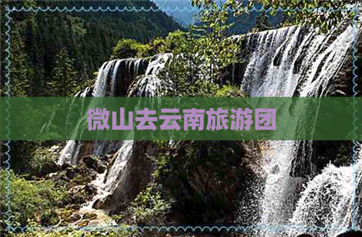 微山去云南旅游团