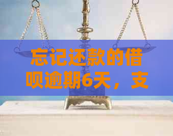 忘记还款的借呗逾期6天，支付宝征用会受到什么影响及如何处理？