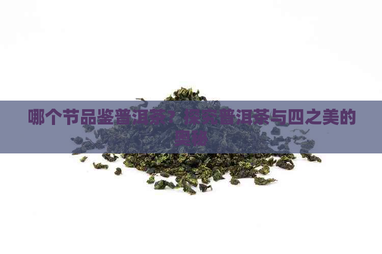 哪个节品鉴普洱茶？探究普洱茶与四之美的奥秘