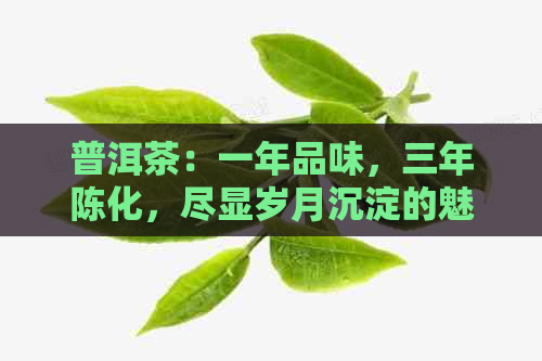 普洱茶：一年品味，三年陈化，尽显岁月沉淀的魅力