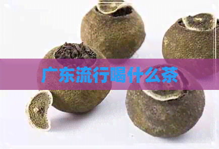 广东流行喝什么茶