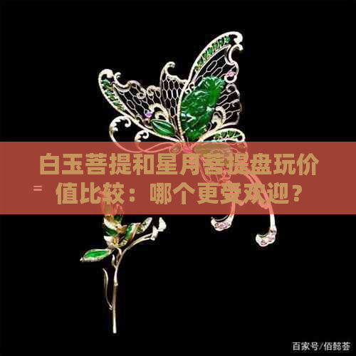 白玉菩提和星月菩提盘玩价值比较：哪个更受欢迎？