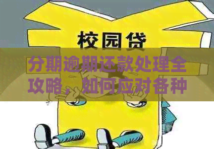 分期逾期还款处理全攻略，如何应对各种情况