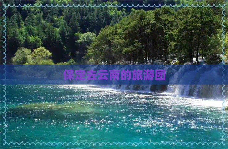 保定去云南的旅游团