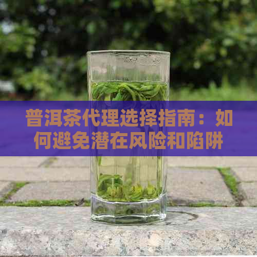 普洱茶代理选择指南：如何避免潜在风险和陷阱