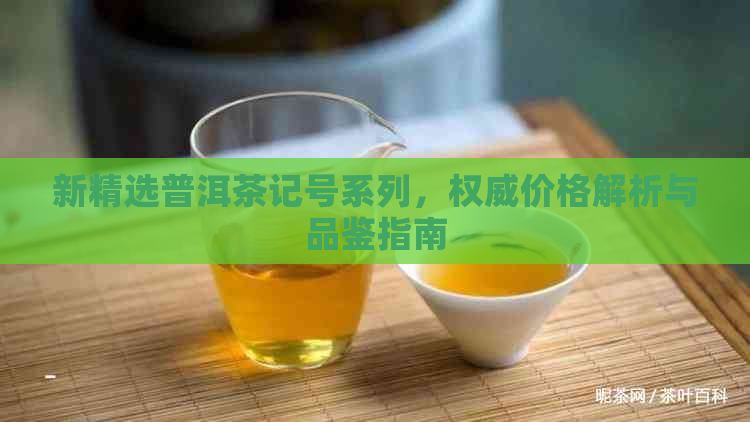 新精选普洱茶记号系列，权威价格解析与品鉴指南