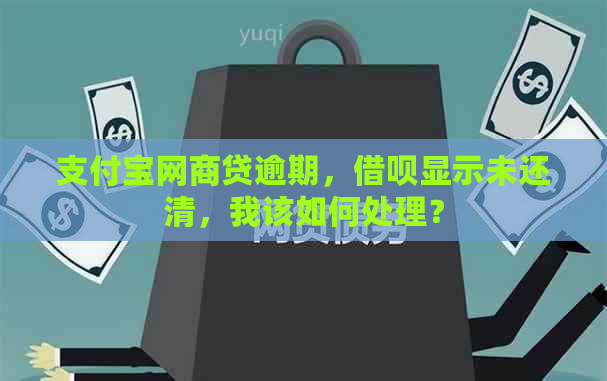 支付宝网商贷逾期，借呗显示未还清，我该如何处理？