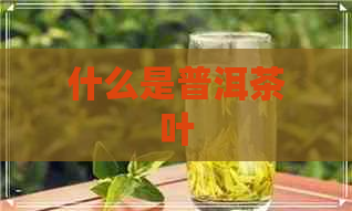 什么是普洱茶叶