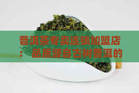 普洱茶专卖连锁加盟店： 品质源自古树普洱的独特体验