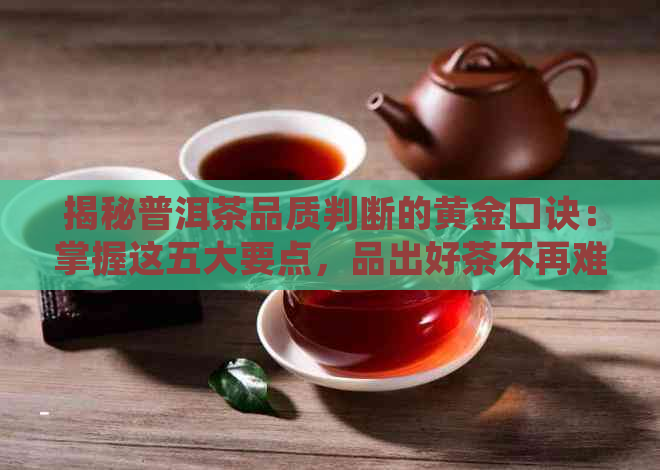 揭秘普洱茶品质判断的黄金口诀：掌握这五大要点，品出好茶不再难！