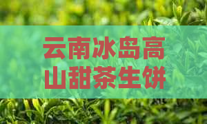 云南冰岛高山甜茶生饼：一款珍贵的普洱茶收藏品