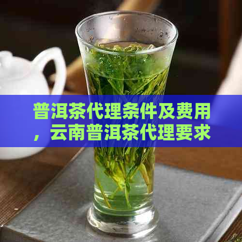 普洱茶代理条件及费用，云南普洱茶代理要求