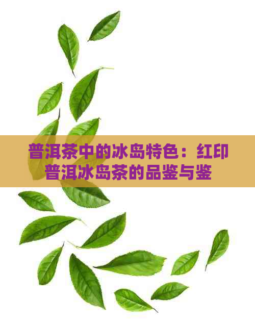 普洱茶中的冰岛特色：红印普洱冰岛茶的品鉴与鉴