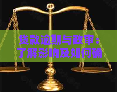 贷款逾期与政审：了解影响及如何确保顺利通过