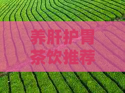 养肝护胃茶饮推荐：提升健，远离疾病