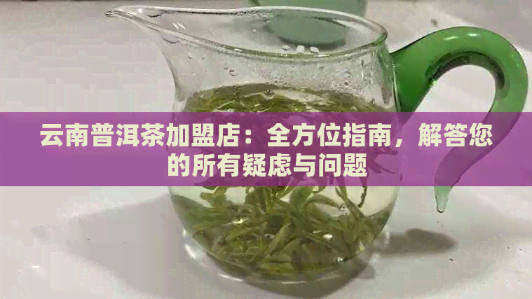 云南普洱茶加盟店：全方位指南，解答您的所有疑虑与问题