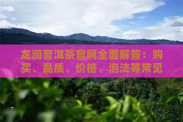 龙润普洱茶官网全面解答：购买、品质、价格、泡法等常见问题及解答