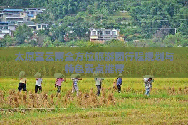 太原至云南全方位旅游团行程规划与特色景点推荐